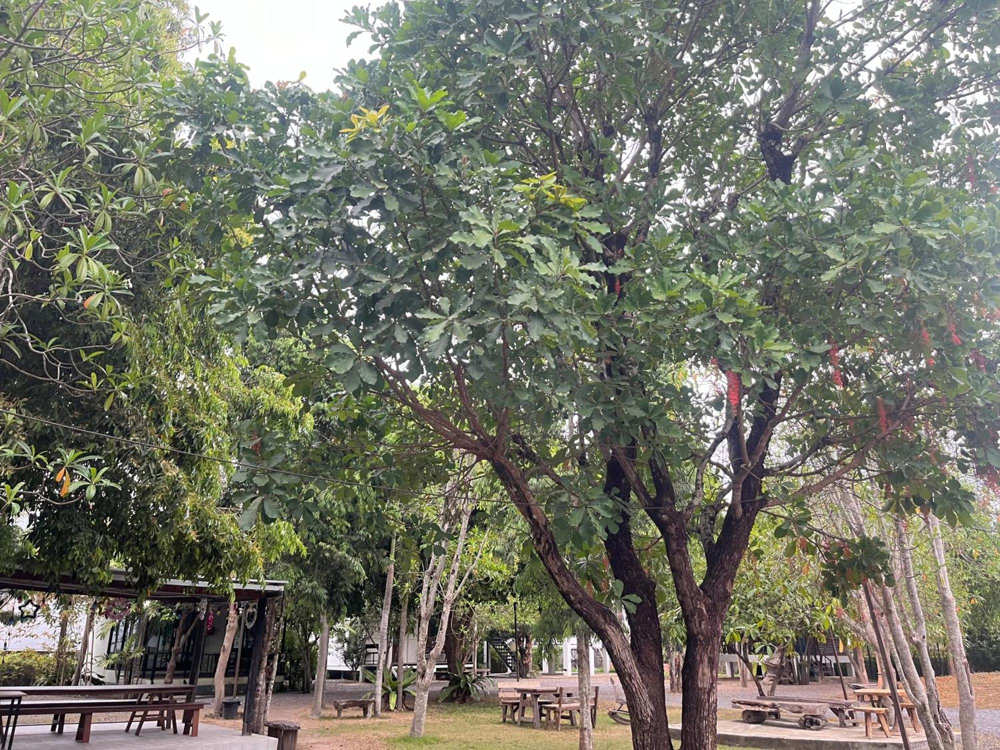 Sangkaset Resort Ban Mong Muang エクステリア 写真